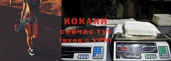 шишки Армянск