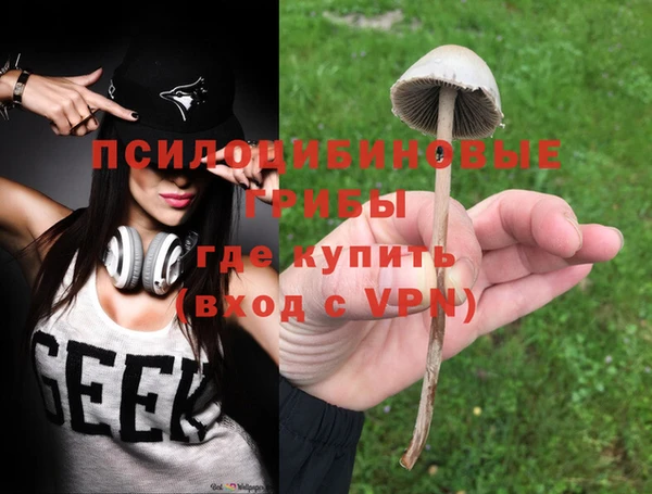 шишки Армянск