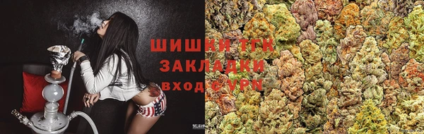 шишки Армянск