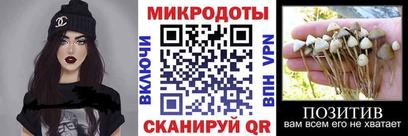 хочу наркоту  Соликамск  даркнет клад  Псилоцибиновые грибы прущие грибы 